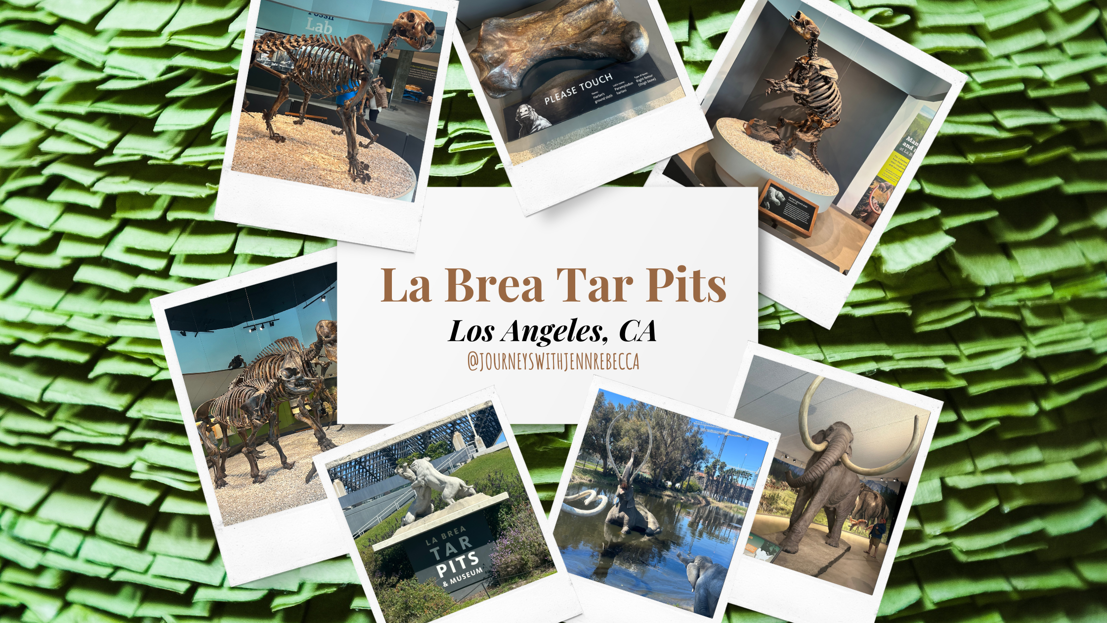 a collage of images from the la brea tar pits. fossilized skeletons, the statue in front of the museum of saber tooths fighting